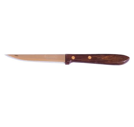 Μαχαίρι μυτερό με δόντι 9cm Icel