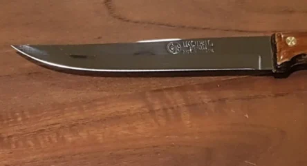 Μαχαίρι μυτερό με ξύλινη λαβή 10 cm