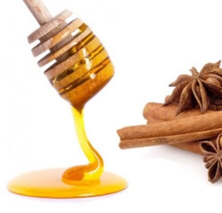 Ξυλάκι μελιού