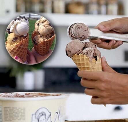 Κουτάλι παγωτού επαγγελματικό λαδιού