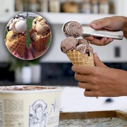 Κουτάλι παγωτού επαγγελματικό υδραργύρου