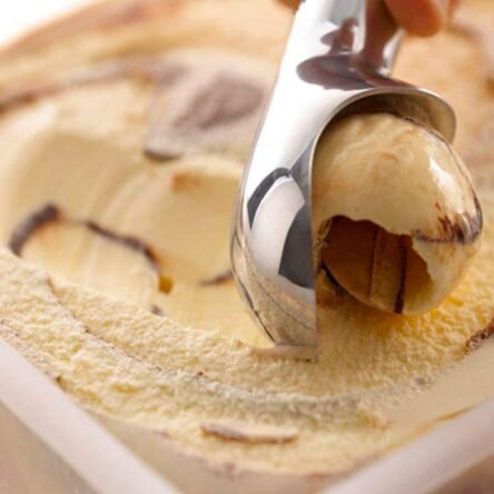 Κουτάλι παγωτού επαγγελματικό υδραργύρου