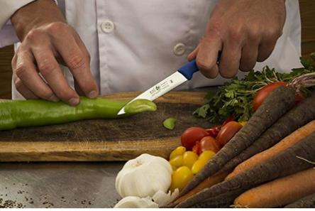 Μαχαίρι Icel 10 εκατοστά λάμα ίσιο