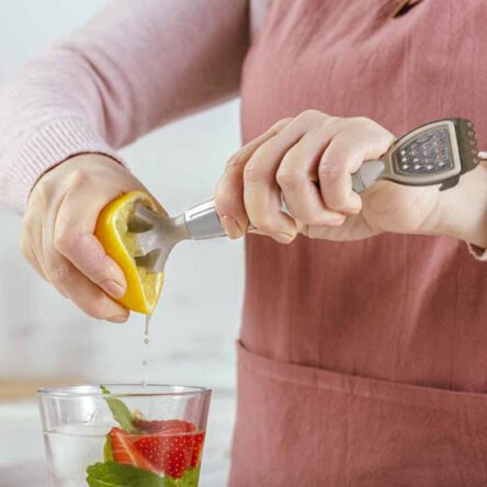 Λεμονοστύφτης χειρός